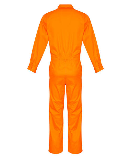 Rear View in Orange