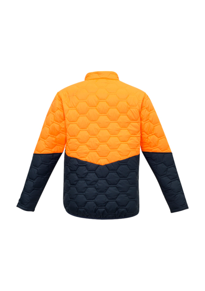 ORANGE BACK