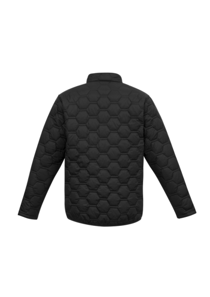 BLACK BACK