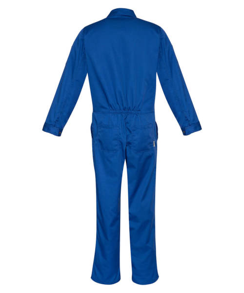 Rear View in Royal Blue
